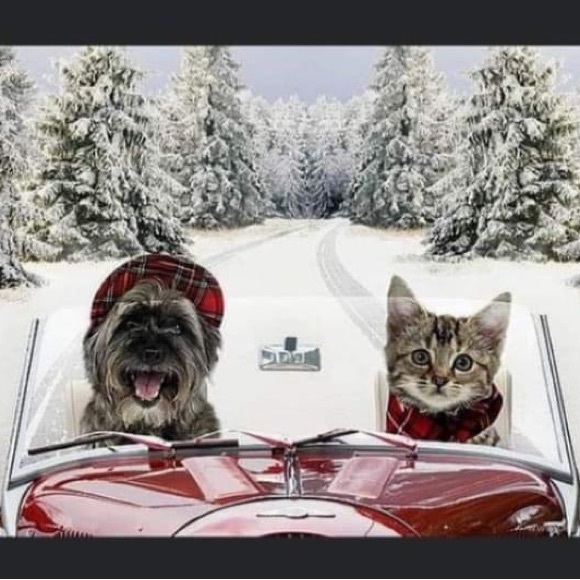 Meet your Posher, Kerry - Picture 5 of 16